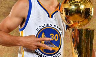 勇士总冠军一览表 勇士总冠军一览表